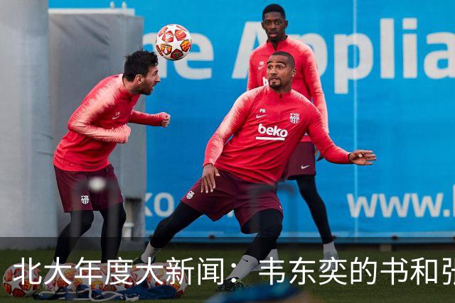 北大年度大新闻：韦东奕的书和张丹丹的话