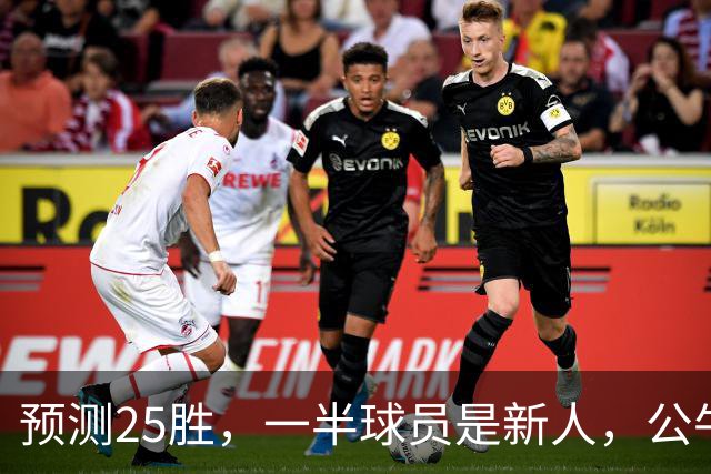 预测25胜，一半球员是新人，公牛重建模式开启