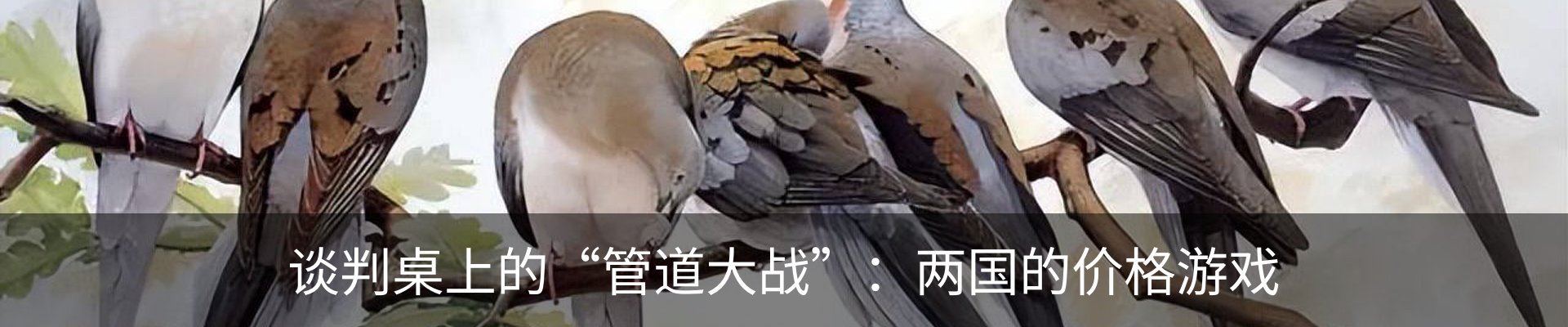 行业资讯